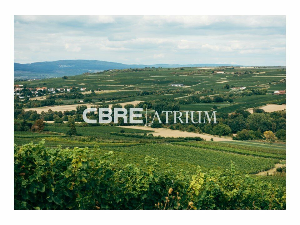 ATRIUM VENTE-TERRAIN-CUSSET-03