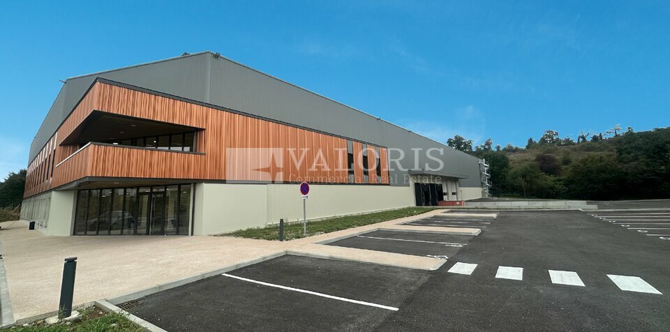 VALORIS REAL ESTATE LOCATION-LOCAL D'ACTIVITE-SAINT_LAURENT_DE_MURE-69