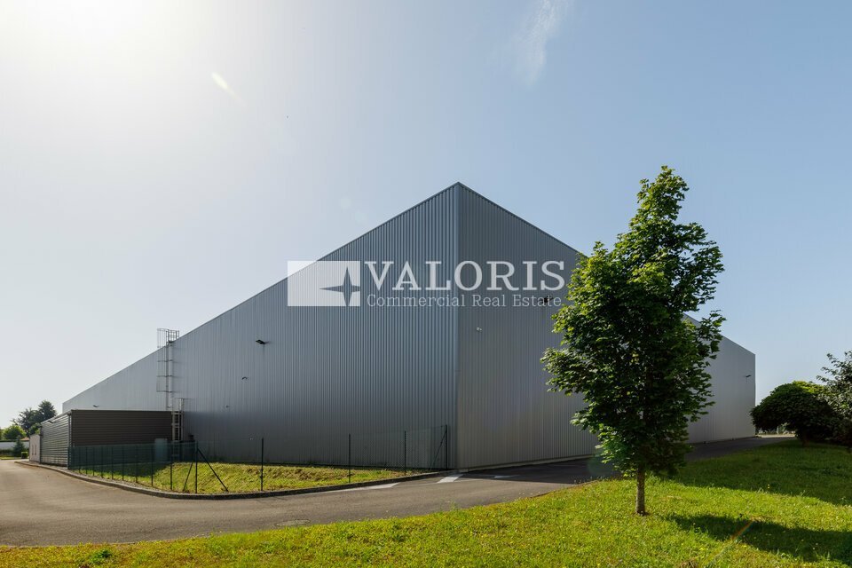 VALORIS REAL ESTATE LOCATION-LOCAL D'ACTIVITE-MIRIBEL-01