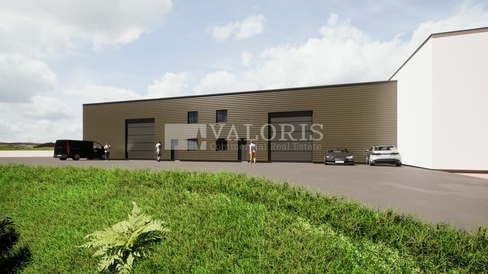 VALORIS REAL ESTATE VENTE-LOCAL D'ACTIVITE-LANCIE-69