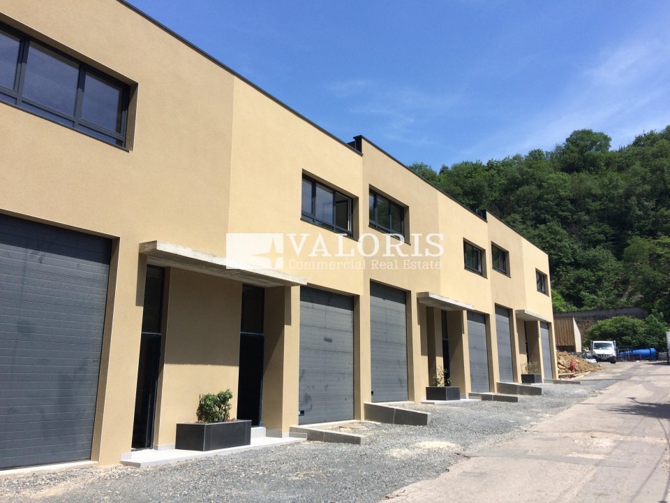 VALORIS REAL ESTATE LOCATION-LOCAL D'ACTIVITE-FLEURIEU_SUR_SAONE-69