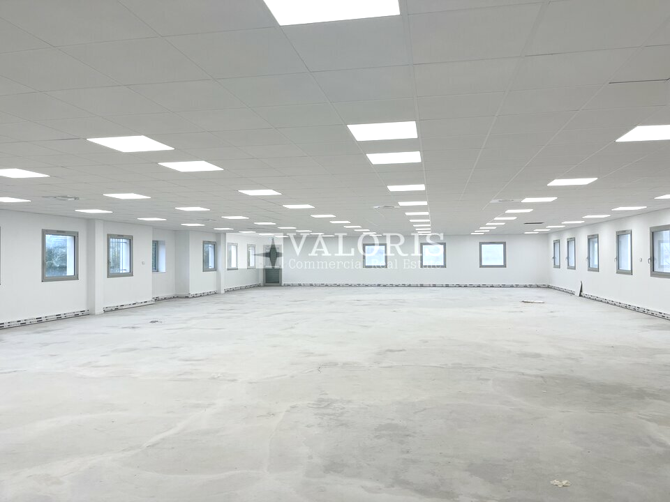 VALORIS REAL ESTATE VENTE-BUREAUX-SAINT_PRIEST-69