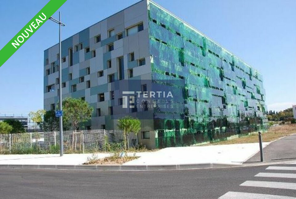 TERTIA CONSEILS LOCATION-BUREAUX-MONTPELLIER-34