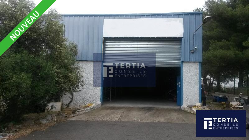 TERTIA CONSEILS LOCATION-LOCAL D'ACTIVITE-SAINT_JEAN_DE_VEDAS-34