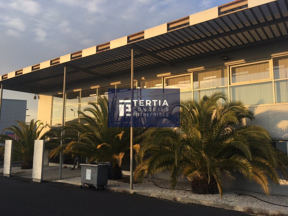 TERTIA CONSEILS LOCATION-BUREAUX-BAILLARGUES-34