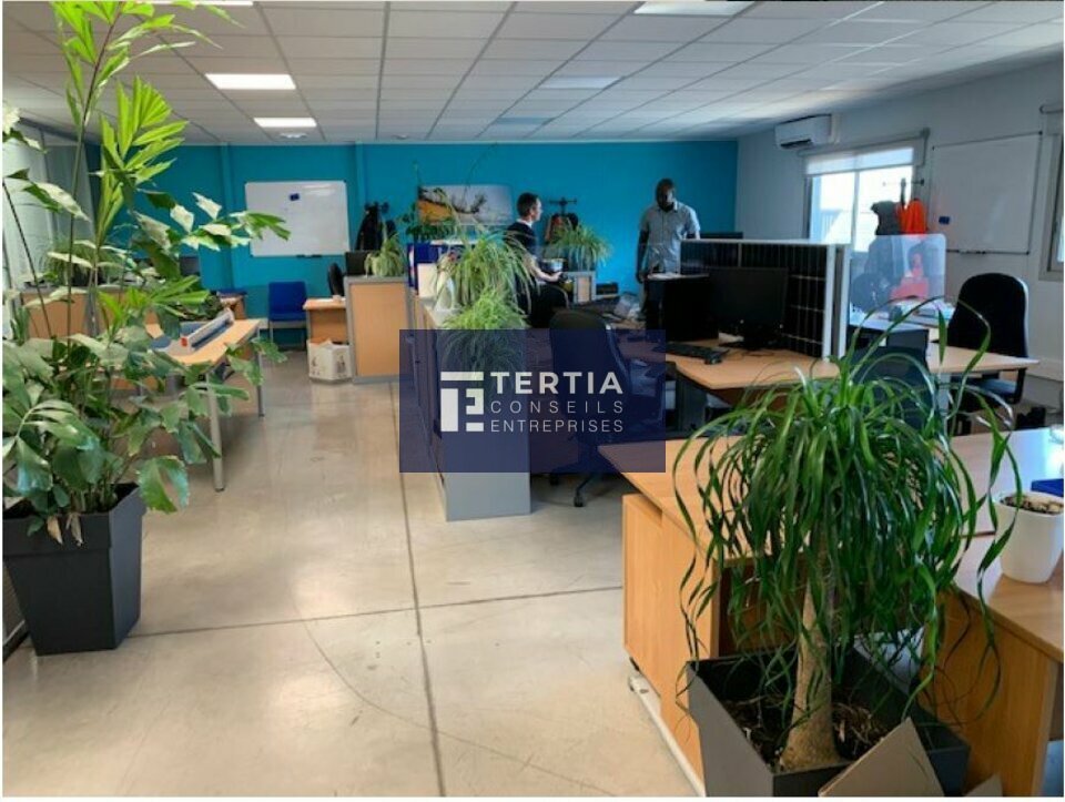 TERTIA CONSEILS LOCATION-BUREAUX-BAILLARGUES-34