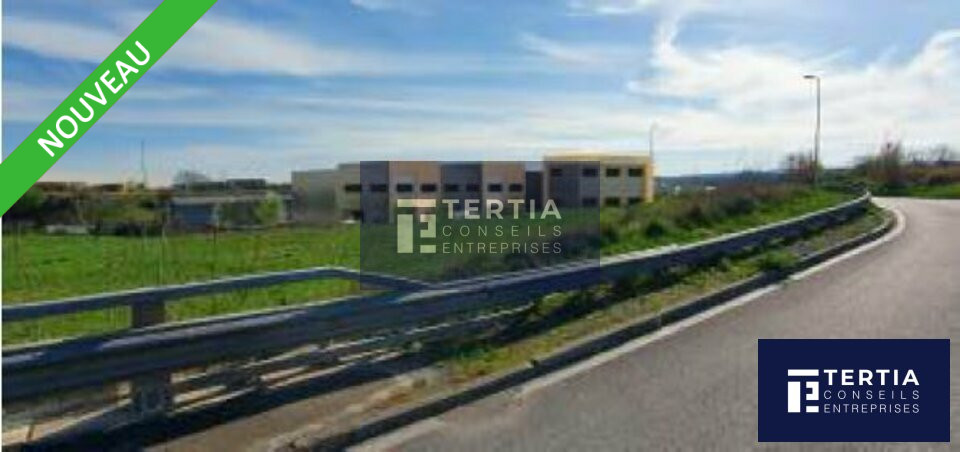 TERTIA CONSEILS VENTE-LOCAL D'ACTIVITE-GIGEAN-34