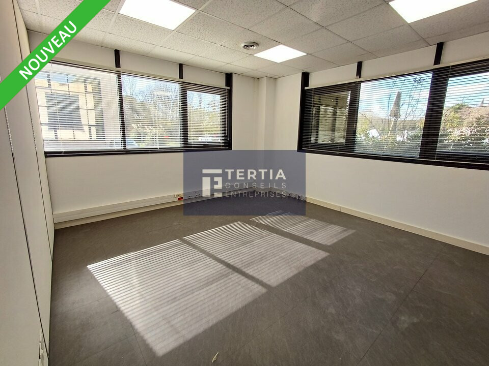 TERTIA CONSEILS LOCATION-BUREAUX-MONTFERRIER_SUR_LEZ-34