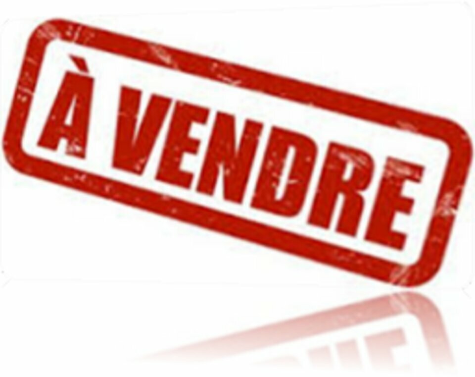 Arthur Loyd Tours VENTE-BUREAUX-SAINT_CYR_SUR_LOIRE-37