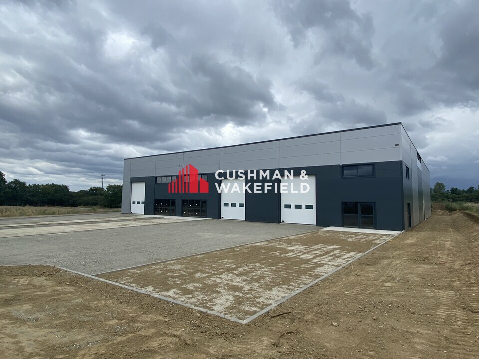 CUSHMAN WAKEFIELD TOULOUSE LOCATION-LOCAL D'ACTIVITE-PIBRAC-31