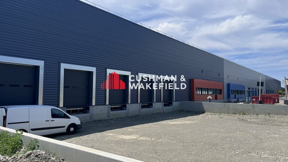 CUSHMAN et WAKEFIELD TOULOUSE LOCATION-Entrepôt-TOULOUSE-31