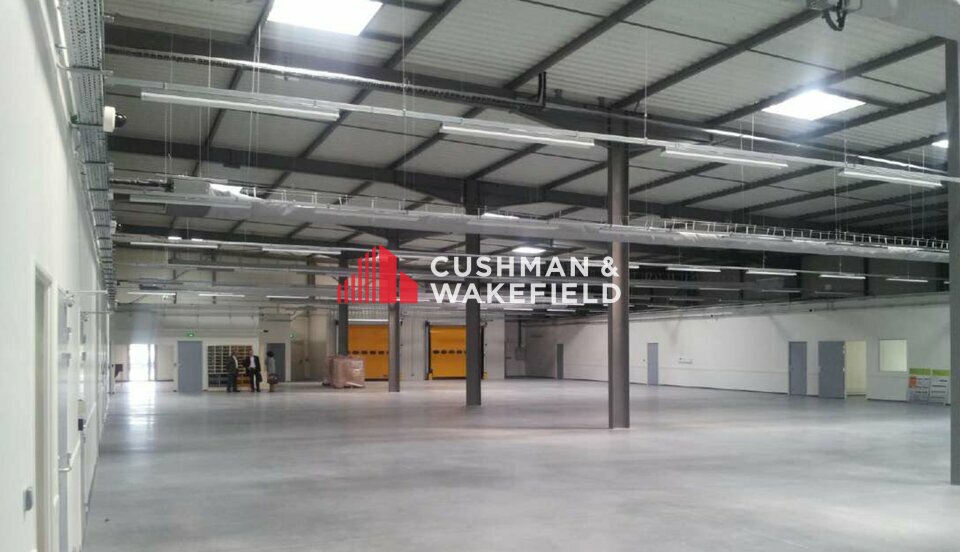 Cushman Wakefield Toulouse LOCATION-LOCAL D'ACTIVITE-TOULOUSE-31