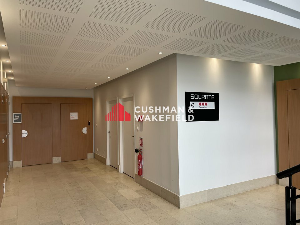 Cushman Wakefield Toulouse LOCATION-BUREAUX-TOULOUSE-31