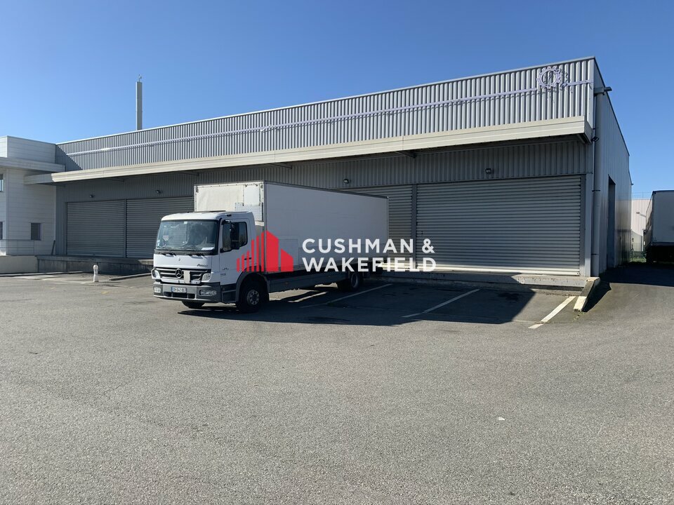 CUSHMAN WAKEFIELD TOULOUSE LOCATION-LOCAL D'ACTIVITE-TOULOUSE-31