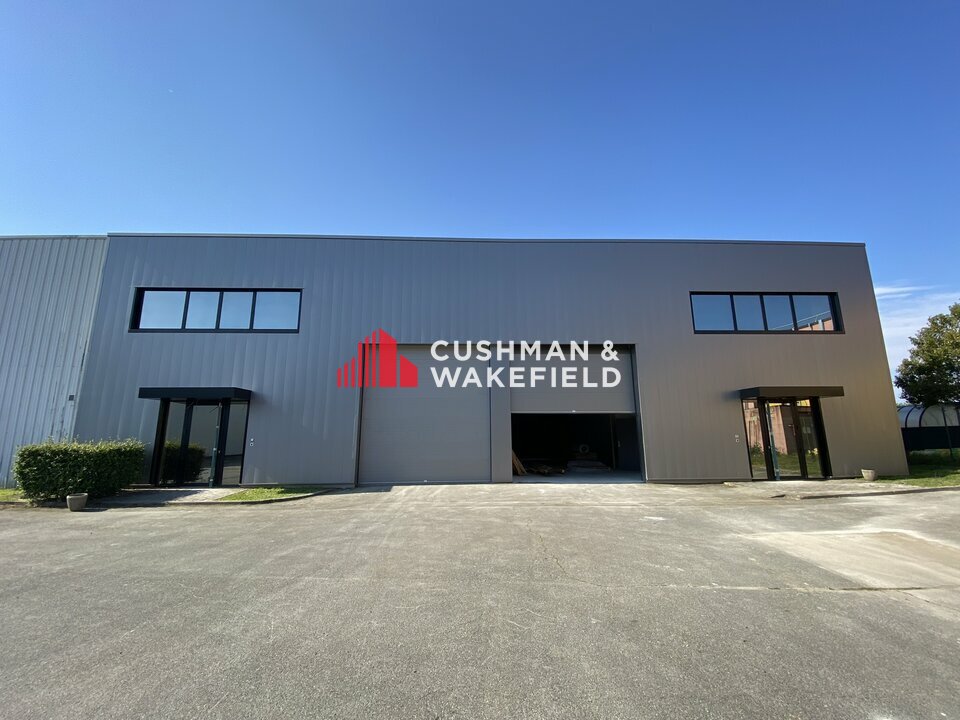 Cushman Wakefield Toulouse LOCATION-LOCAL D'ACTIVITE-TOULOUSE-31