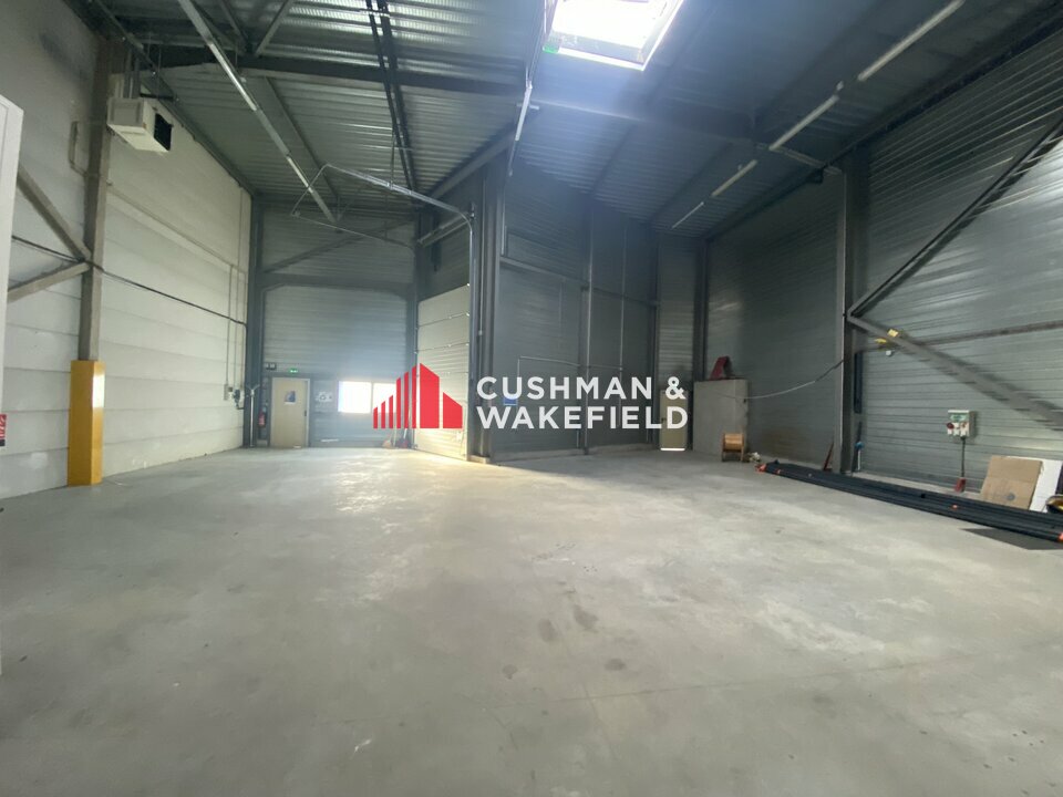 CUSHMAN WAKEFIELD TOULOUSE LOCATION-LOCAL D'ACTIVITE-TOULOUSE-31