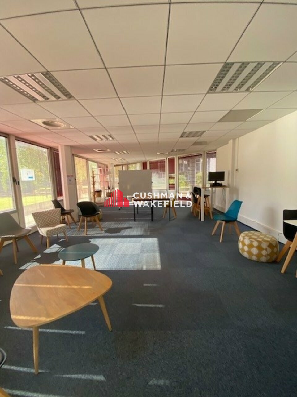 Cushman Wakefield Toulouse LOCATION-BUREAUX-TOULOUSE-31