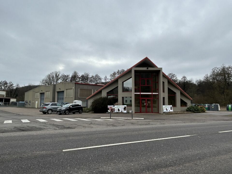 ARTHUR LOYD LORRAINE  LOCATION-LOCAL D'ACTIVITE-HOMBOURG_BUDANGE-57