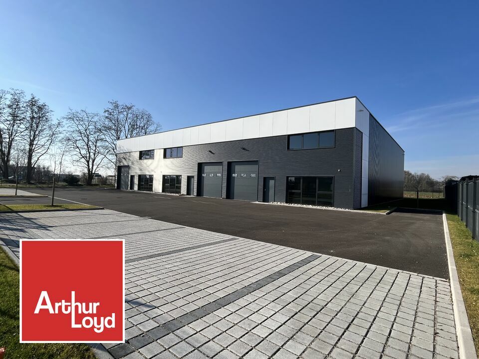 ARTHUR LOYD ALSACE LOCATION-LOCAL D'ACTIVITE-SOUFFELWEYERSHEIM-67