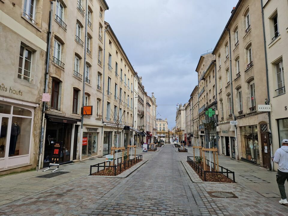 RETAIL PREMIUM VENTE-LOCAL COMMERCIAL-NANCY-54