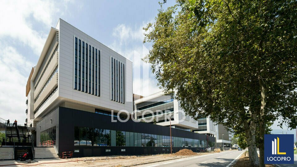 LOCOPRO ALPES MARITIMES LOCATION-BUREAUX-NICE-06