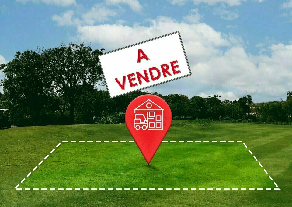 Arthur Loyd Sud Bourgogne VENTE-TERRAIN-CRISSEY-71