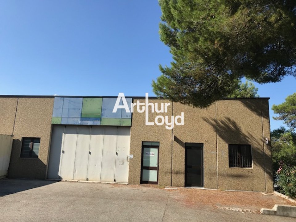 ARTHUR LOYD NICE SOPHIA LOCATION-LOCAL D'ACTIVITE-VALLAURIS-06