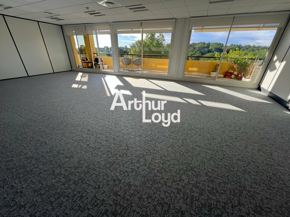 ARTHUR LOYD NICE SOPHIA LOCATION-BUREAUX-SOPHIA_ANTIPOLIS-06