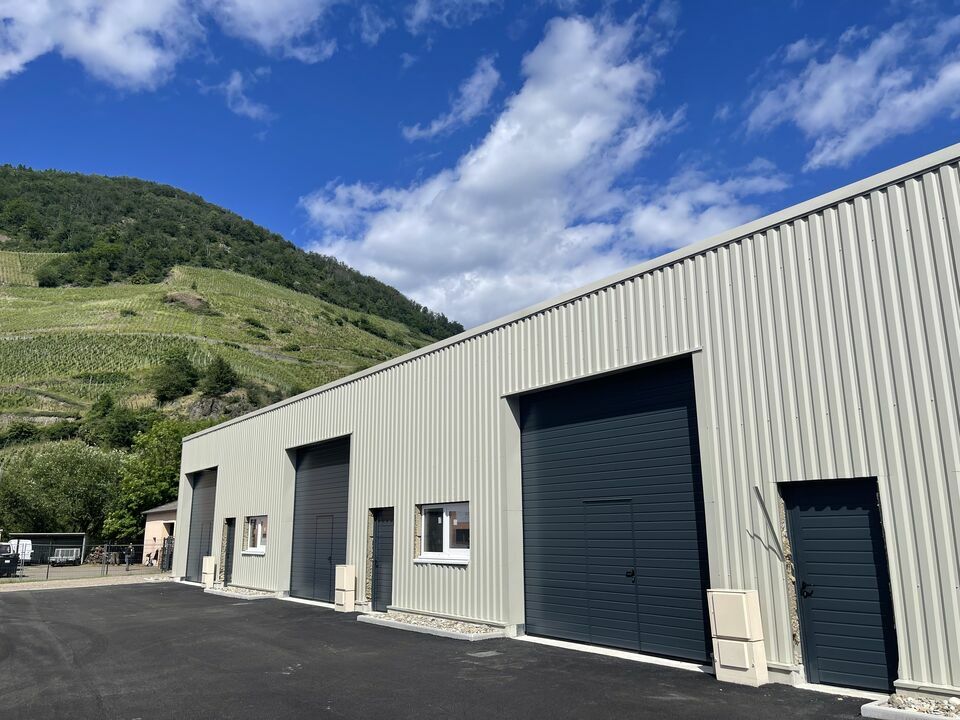 CBRE DESAULLES ET CIE VENTE-LOCAL D'ACTIVITE-THANN-68