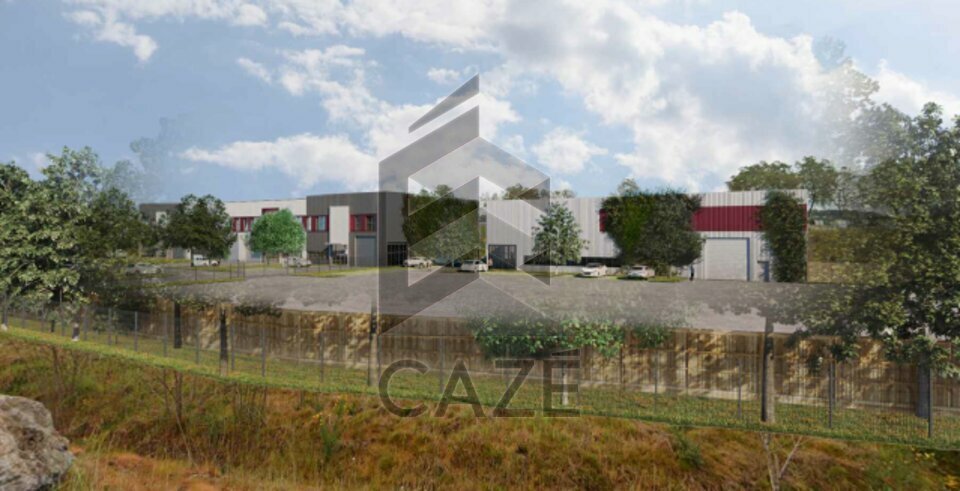 CAZE IMMOBILIER LOCATION-LOCAL D'ACTIVITE-MEES-40