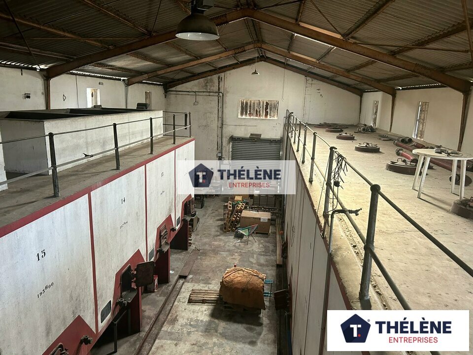 THELENE LOCATION-LOCAL COMMERCIAL-PEROLS-34