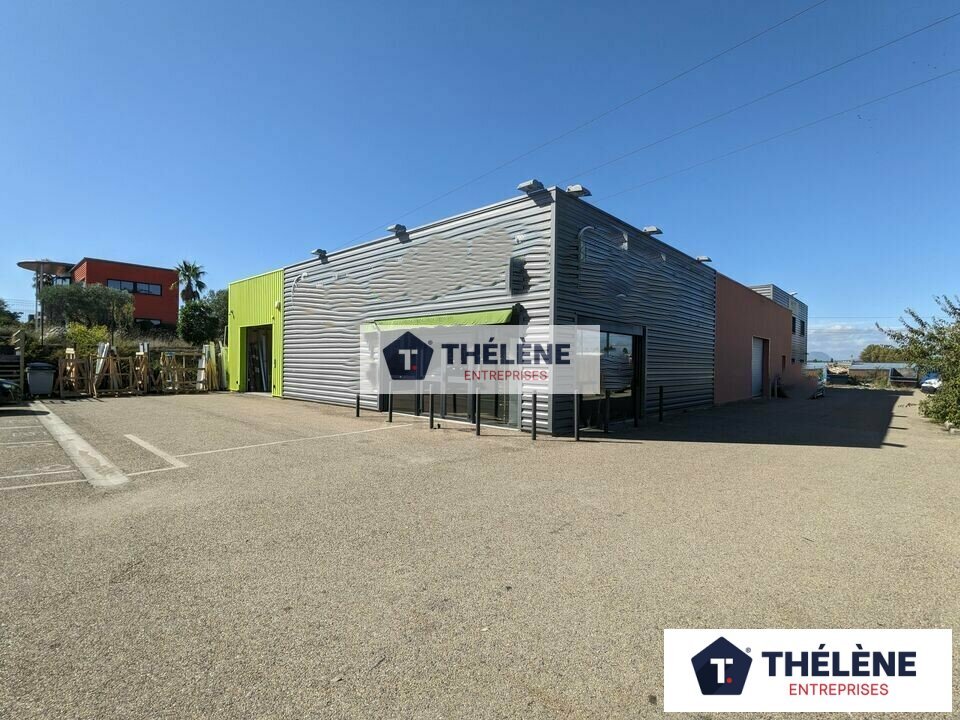 THELENE LOCATION-LOCAL D'ACTIVITE-SAINT_AUNES-34