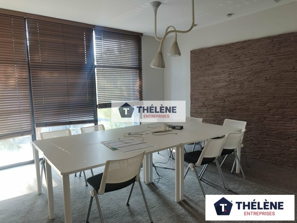 THELENE LOCATION-BUREAUX-MONTPELLIER-34