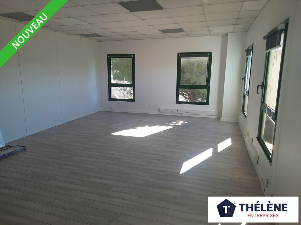 THELENE LOCATION-BUREAUX-MONTPELLIER-34