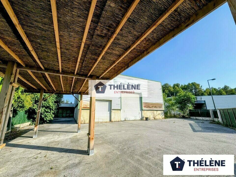 THELENE LOCATION-LOCAL D'ACTIVITE-MONTFERRIER_SUR_LEZ-34