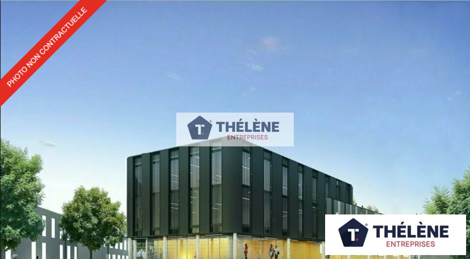 THELENE LOCATION-LOCAL D'ACTIVITE-REDESSAN-30