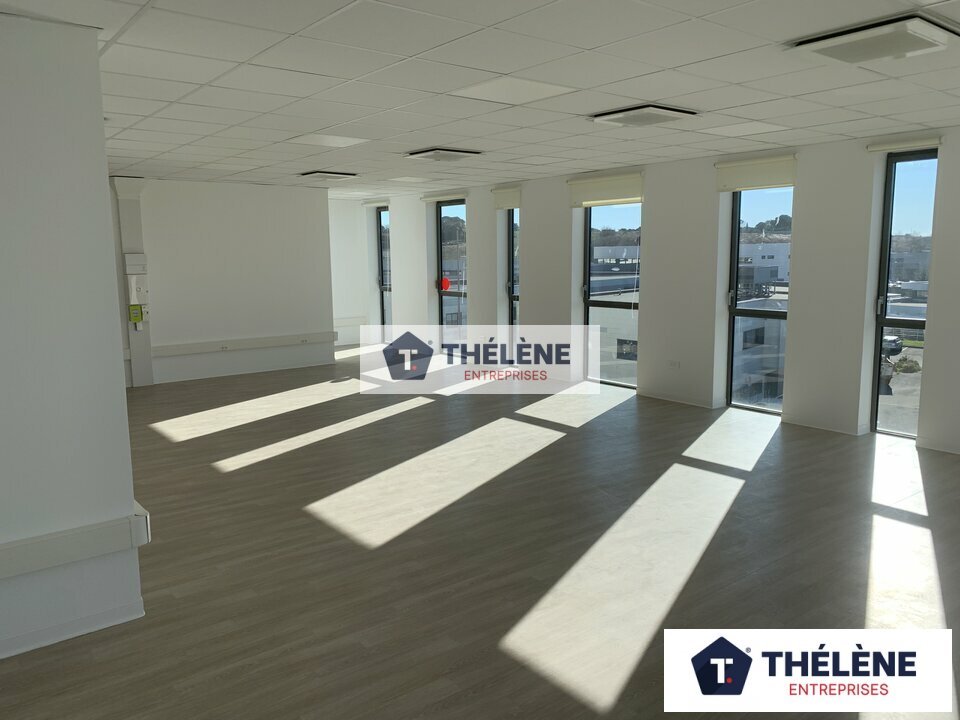 THELENE LOCATION-BUREAUX-CASTELNAU_LE_LEZ-34