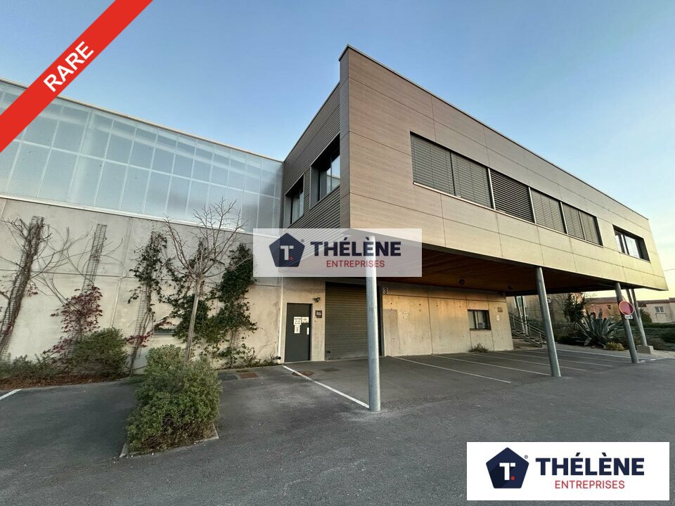 THELENE LOCATION-LOCAL D'ACTIVITE-MONTPELLIER-34