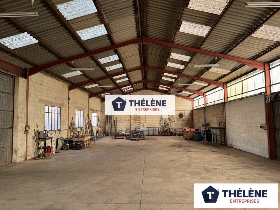 THELENE LOCATION-LOCAL D'ACTIVITE-CASTELNAU_LE_LEZ-34