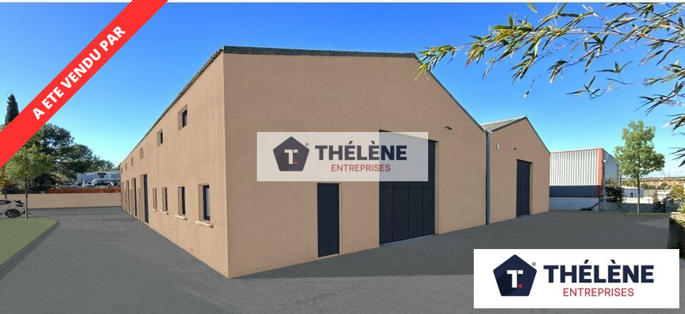 THELENE ENTREPRISES VENTE-LOCAL D'ACTIVITE-SAINT_GEORGES_D'ORQUES-34