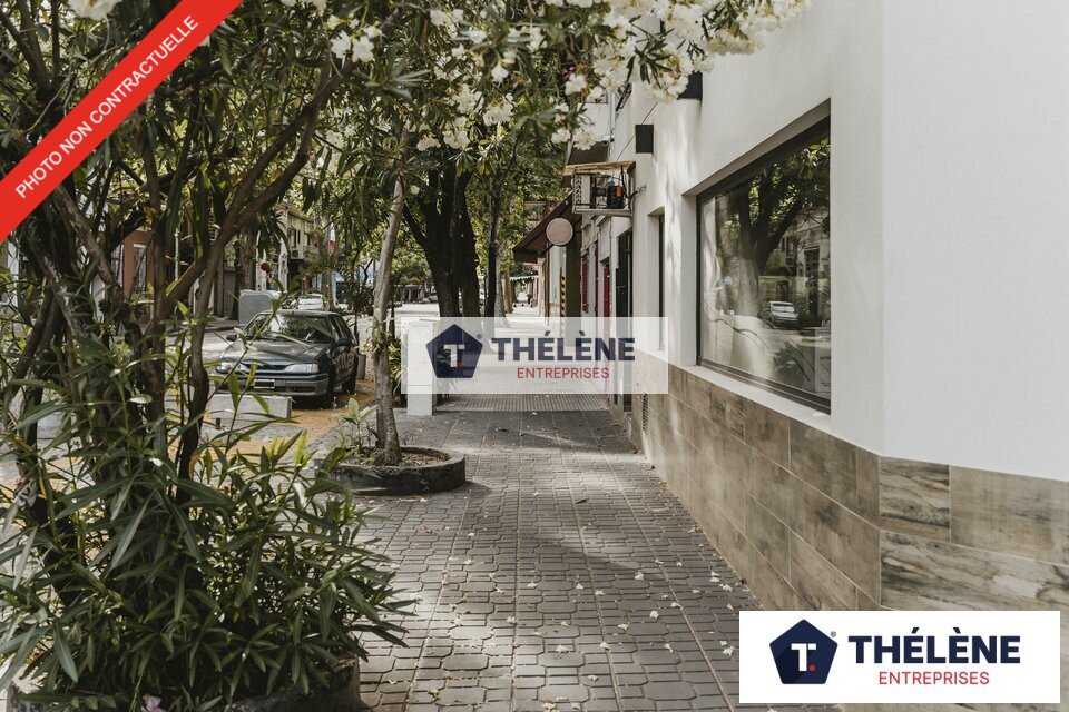 THELENE VENTE-LOCAL COMMERCIAL-PEROLS-34