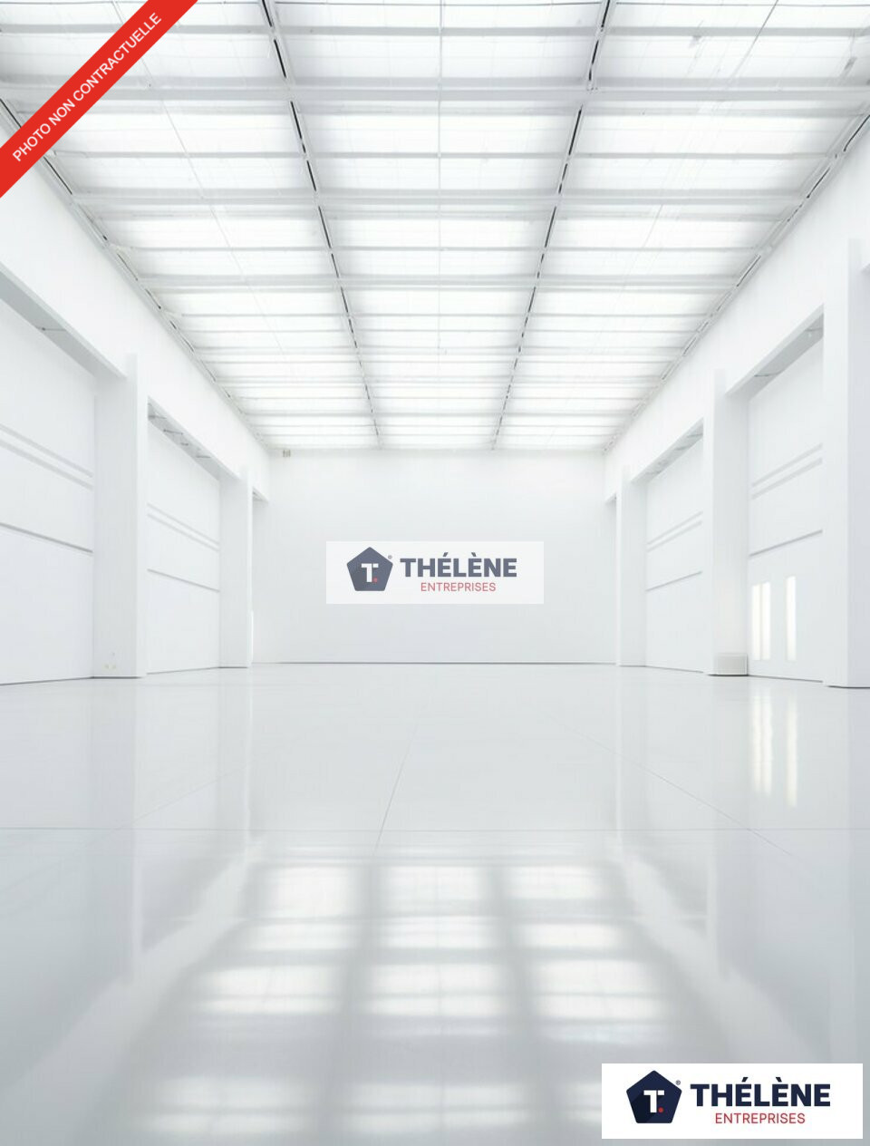 THELENE LOCATION-LOCAL COMMERCIAL-MONTPELLIER-34