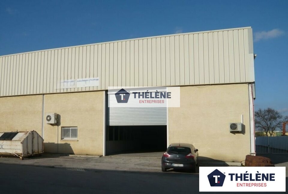 THELENE LOCATION-LOCAL D'ACTIVITE-SAINT_JEAN_DE_VEDAS-34