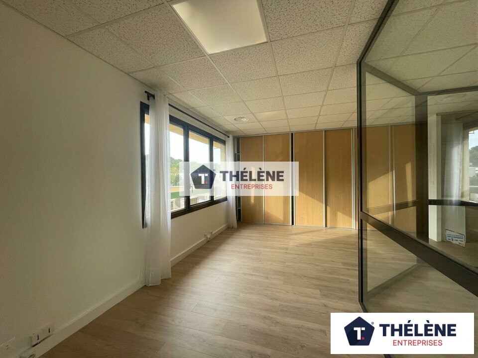 THELENE LOCATION-BUREAUX-CLAPIERS-34