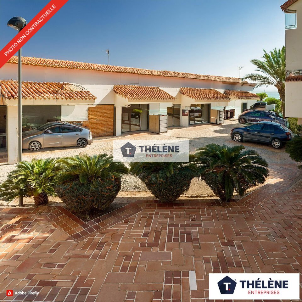 THELENE ENTREPRISES VENTE-LOCAL D'ACTIVITE-BAILLARGUES-34