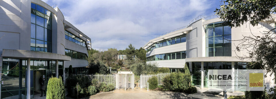 SAVILLS NICEA CONSEIL LOCATION-BUREAUX-VALBONNE_SOPHIA-ANTIPOLIS-06