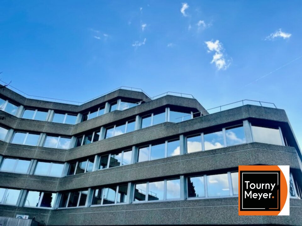 TOURNY MEYER TOULOUSE LOCATION-BUREAUX-TOULOUSE-31