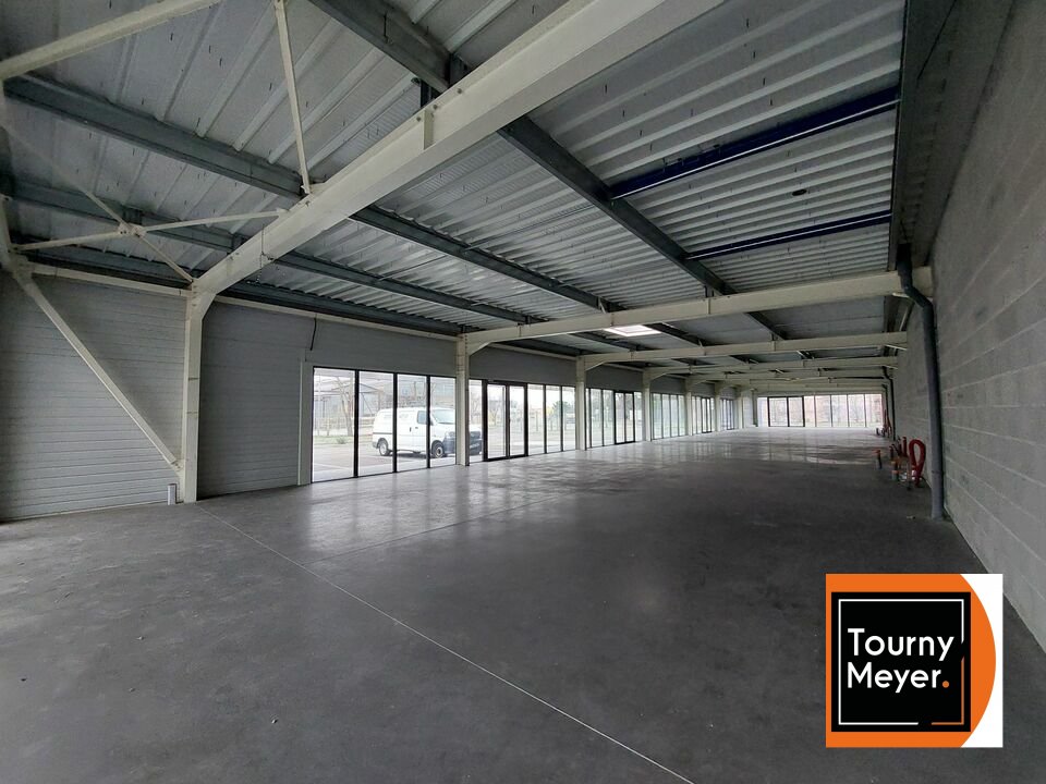 TOURNY MEYER TOULOUSE LOCATION-LOCAL D'ACTIVITE-COLOMIERS-31