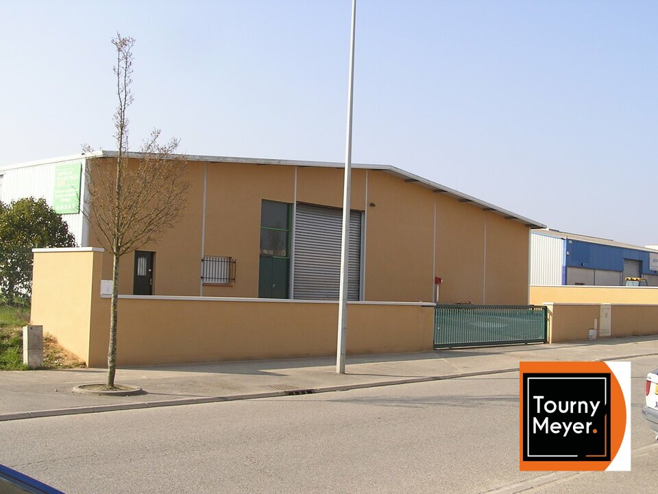 TOURNY MEYER TOULOUSE LOCATION-LOCAL D'ACTIVITE-COLOMIERS-31