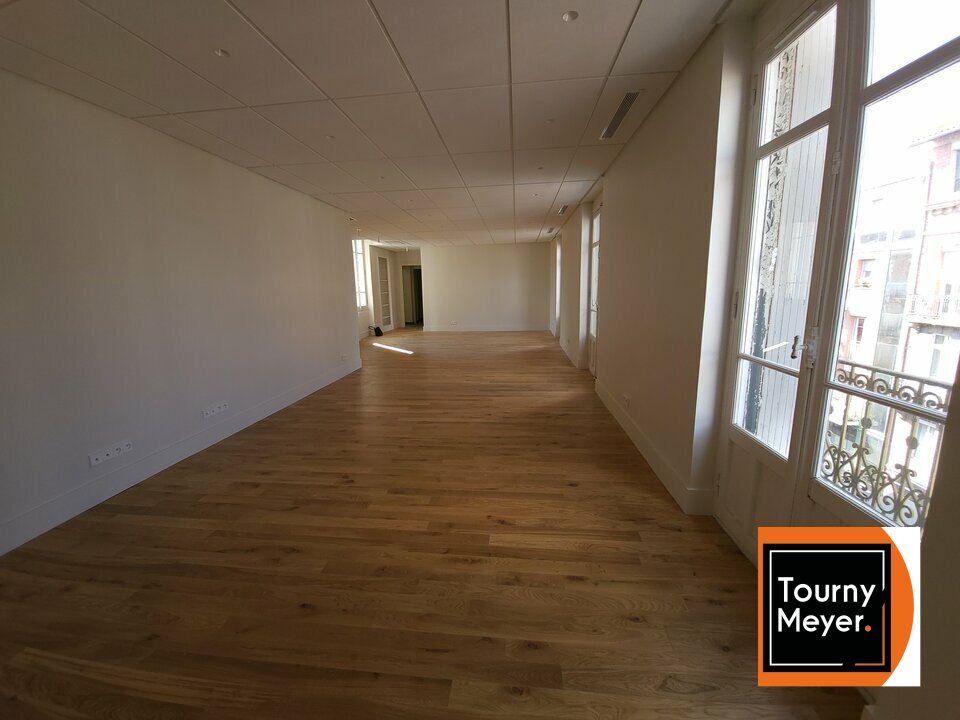 TOURNY MEYER TOULOUSE LOCATION-BUREAUX-TOULOUSE-31